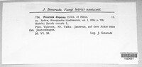 Puccinia dispersa image